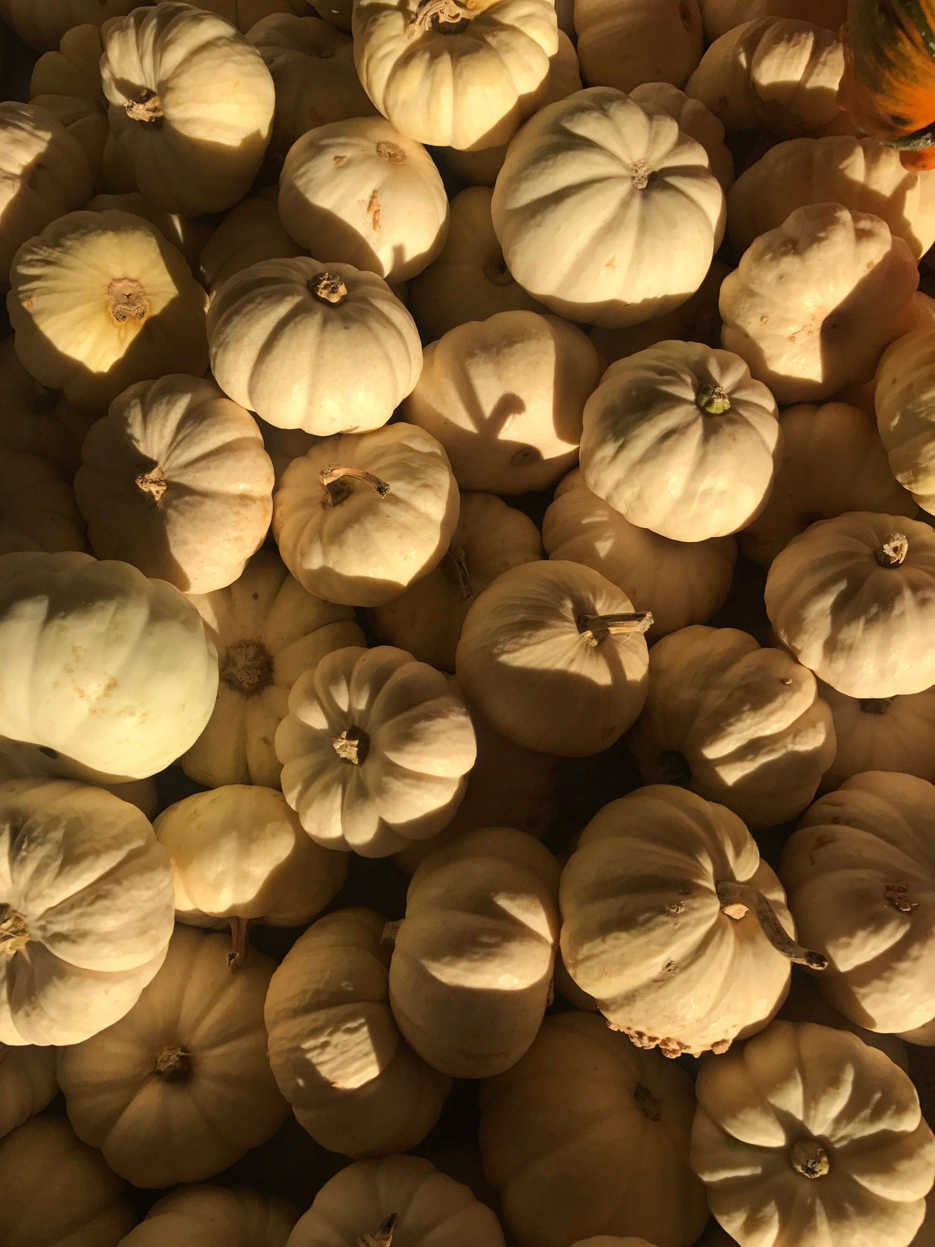 fall, porch, how to, decorating, fall 2021 ideas, easy porch decorations, fall porch diy