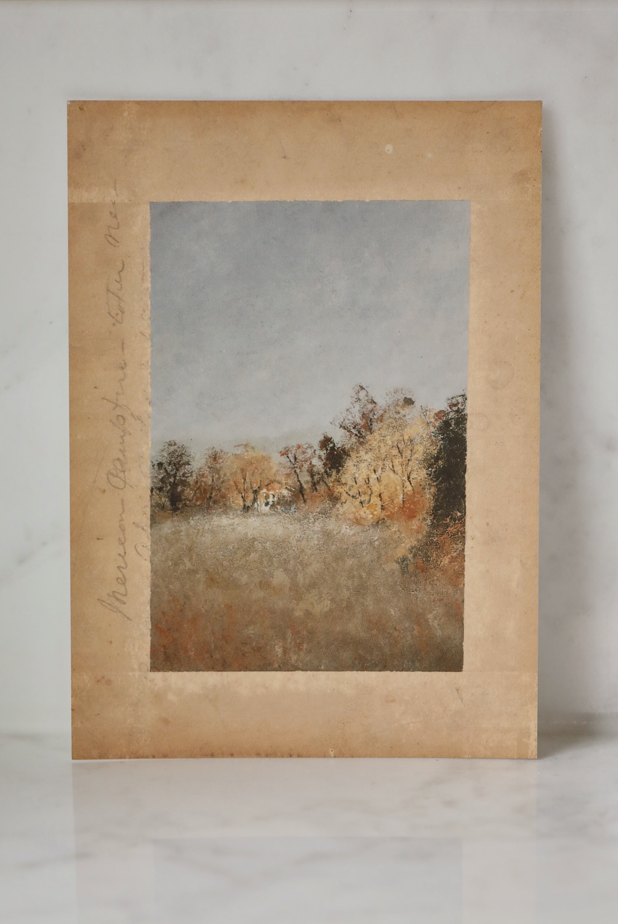 Shop Exclusive: Cottage in the Woods x Aileen Fitzgerald